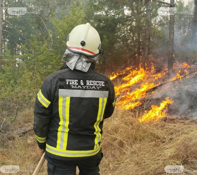 Голям пожар до първомайско село, пожарникари и 100 доброволци се бориха с огъня