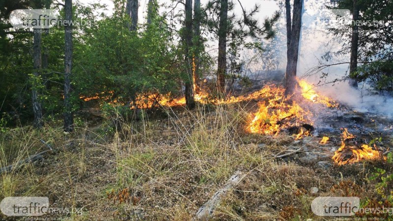 Пожарът край Искра се доближава до къщите, има пострадал