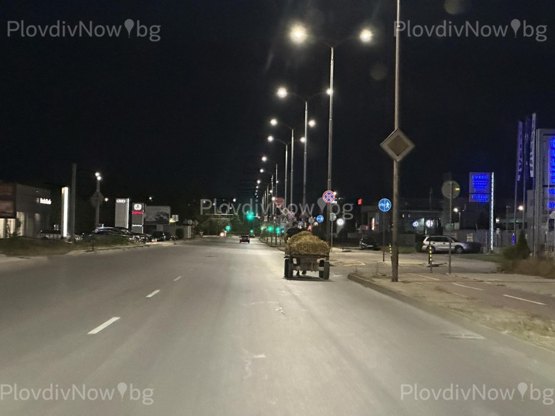 Каруца със слама забелязана да препуска по пловдивски булевард