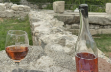 letni-vineni-noshti-shte-izzhiveem-736.png