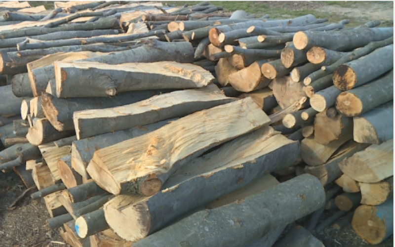 Важна информация за желаещите да купят дърва за огрев в Калояновско