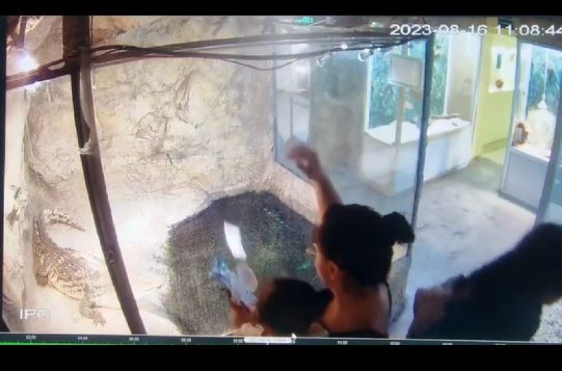 Майка хвърли мокри кърпички при крокодила в Природонаучния музей
