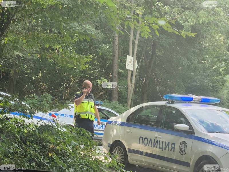 Социолог: Датата на убийството на Алексей Петров не е случайна