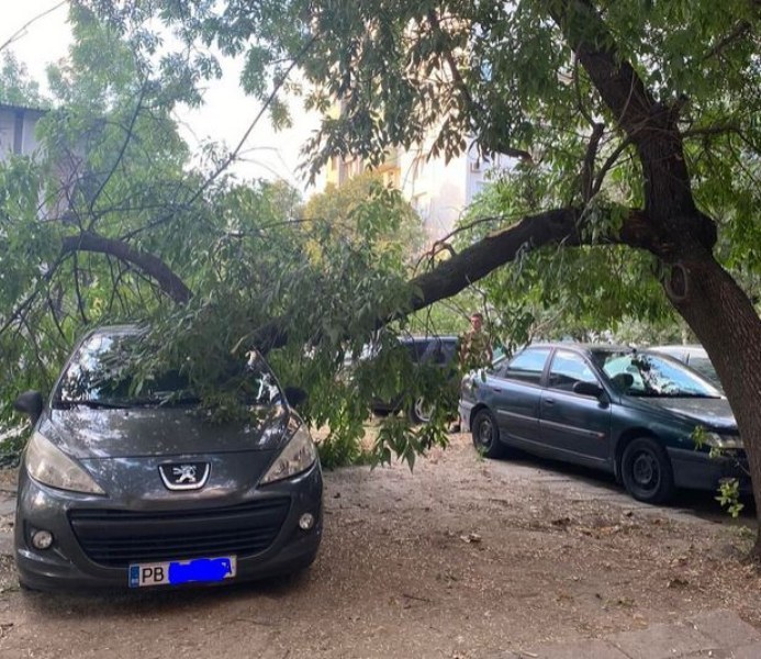 Голям клон падна върху кола в Пловдив