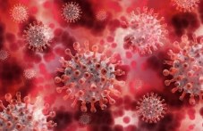 4-novi-sluchaia-koronavirus-plovdiv-778.jpg