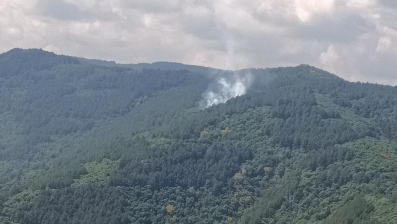 Пожар между Бачково и Добралък вдигна под тревога огнеборци