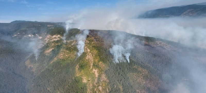 500 декара борова гора изгоряха при пожара в Родопите