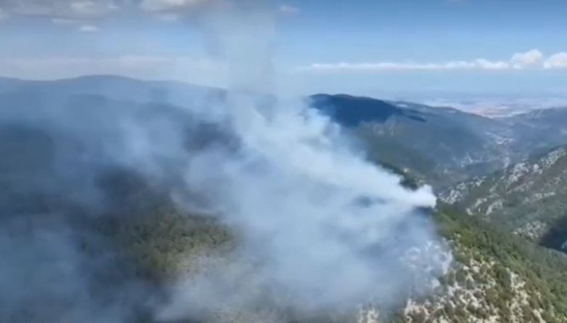 Нов пожар пламна в Родопите