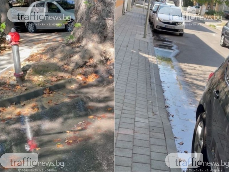 Пловдивчанин: “Водата се лее по пътя, но на кой му пука? Кой ще ги плати тези скъпи кубици?