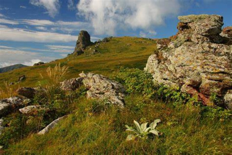 Издирват двама туристи в Стара планина Издирват двама туристи в Стара планина