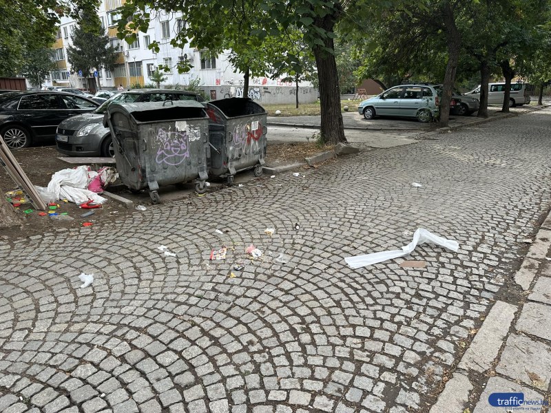 Пловдивчанин: След почистване на контейнери боклукът остава по улиците