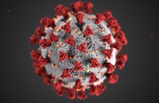 nov-sluchai-koronavirus-plovdiv-11-826.jpg