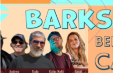 kantri-bandata-barks-gostuva-guitart-802.png
