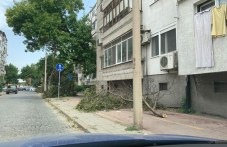 neizvestni-rezhat-i-trupat-kloni-iz-246.jpg