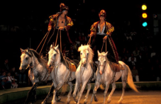 tsirkoviiat-festival-zlaten-kon-idva-062.png