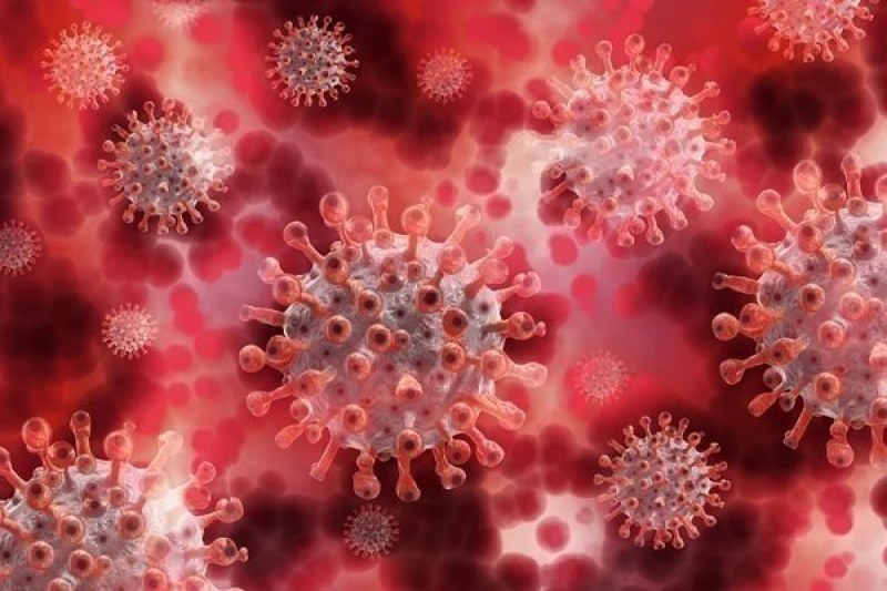 COVID в цифри: 17 нови случая в Пловдив COVID в цифри: 17 нови случая в Пловдив