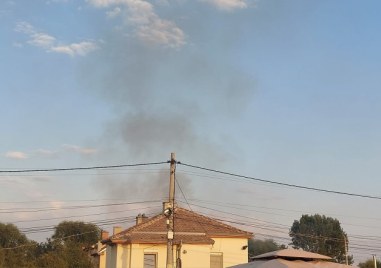 Пожари пламнаха и в Пловдив, и в Скутаре
