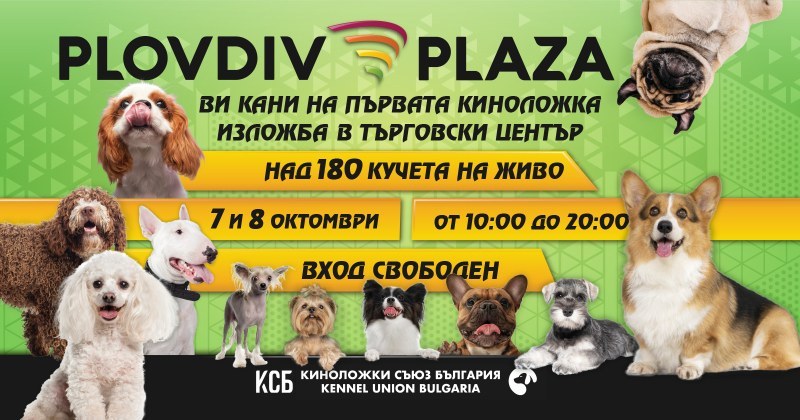 Над 180 породисти кучета участват в Международна киноложка изложба в Пловдив този уикенд