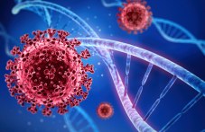 novi-3-polozhitelni-probi-koronavirus-685.jpg