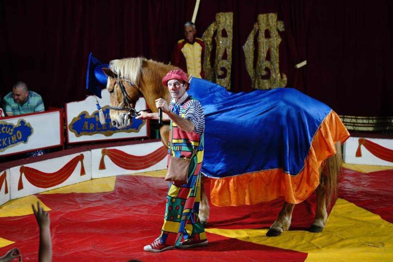 Изложби, цирк и комедиен филм в афиша на Пловдив във вторник