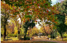 sabota-plovdiv-slancheva-iasna-i-167.png