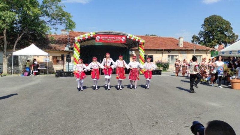 “Фолклорна палитра“ представиха в Браниполе