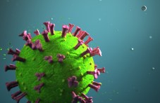 19-novi-polozhitelni-probi-koronavirus-252.jpg