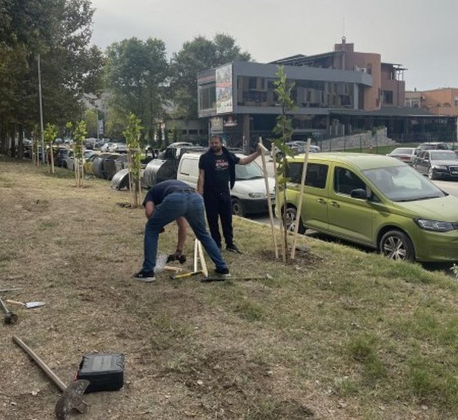 “Браво, Пловдив“ засади 36 дървета на ул. “Рая“