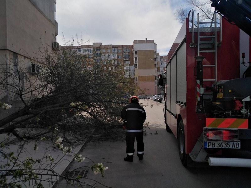Сигнали за паднали дървета в Карловско и Асеновградско, в Калояновско - села без ток