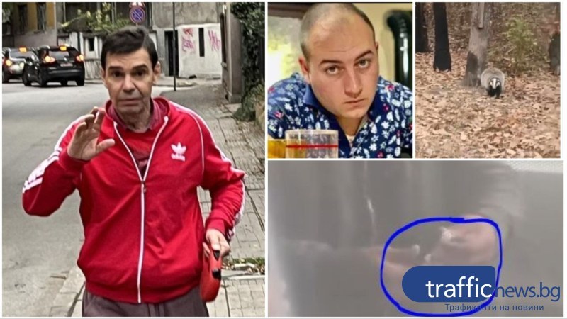 Прокуратурата се самосезира за насилие към животни и държане на наркотици в Пловдив