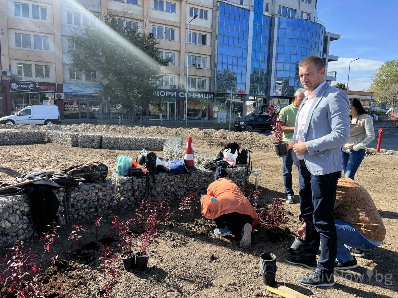Шефът на “Градини и паркове“ подава оставка
