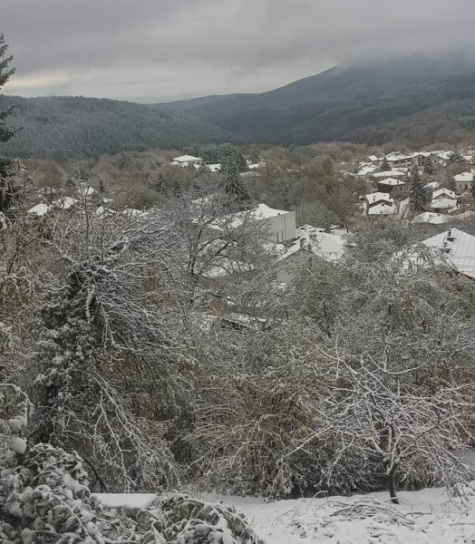 До 20 см. снежна покривка в община “Родопи“, обработват пътищата срещу заледяване