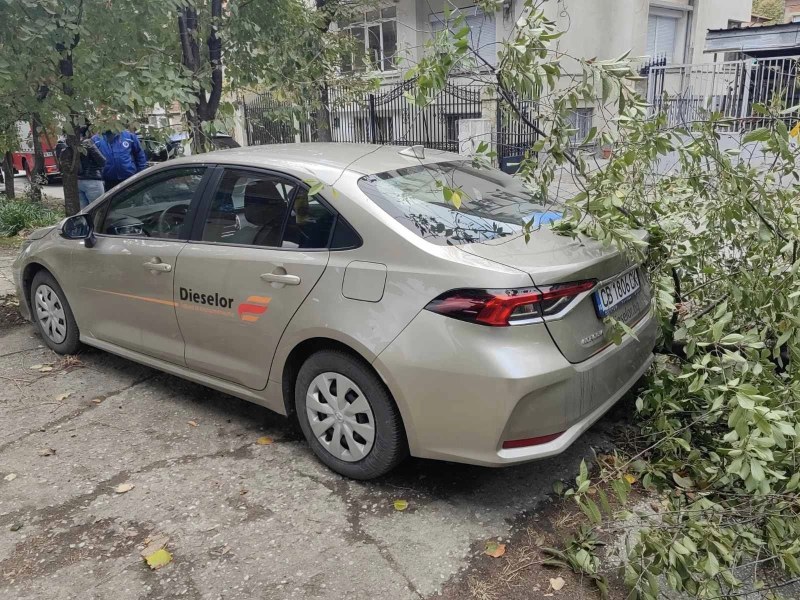 Скъсани жици, паднали дървета и висяща изолация - 27 са проишествията в Пловдив днес