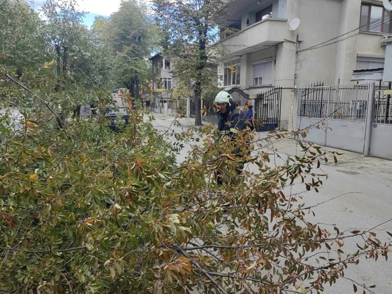 53 аварийно-спасителни операции в Пловдивско, ликвидираха 6 пожара