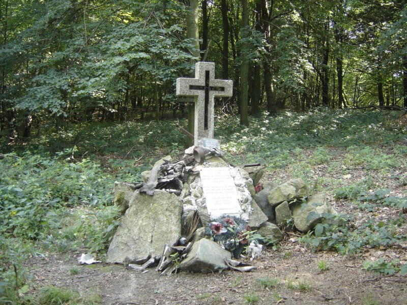 На този ден: Български самолет катастрофира, загиват 82 души