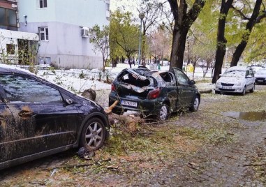 Кой ще поеме щетите по десетките потрошени от паднали клони коли в Пловдив?