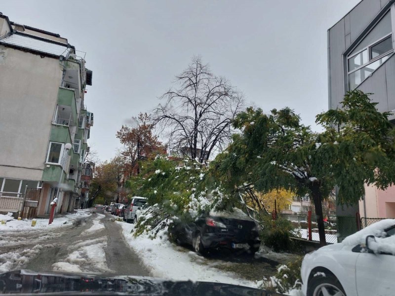 Над 300 сигнала в Пловдивско: Кола закъса край Перущица, дърво блокира магистралата