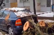 chas-i-polovina-plovdivchanka-se-opitva-742.jpg