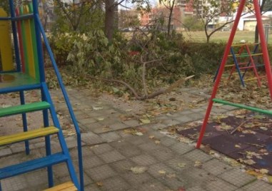 TESTБез вятър или сняг: Клон падна на детска площадка в Тракия