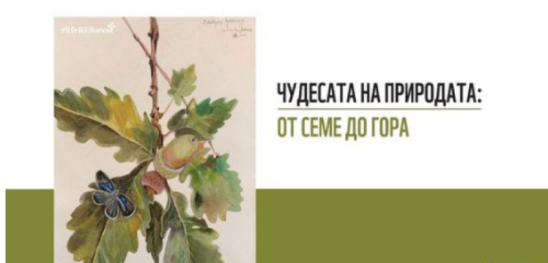 „Чудесата на природата: от семе до гора“ - Природонаучния музей кани на интересна изложба