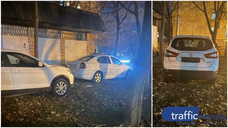 Докато гражданите търсят паркоместа в Пловдив, десетки такива “изгарят“ от неизползваеми коли