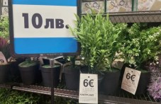 targovtsi-u-nas-obiaviavat-tsenite-i-365.jpg