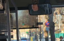 shofyor-gradskiia-transport-plovdiv-452.png