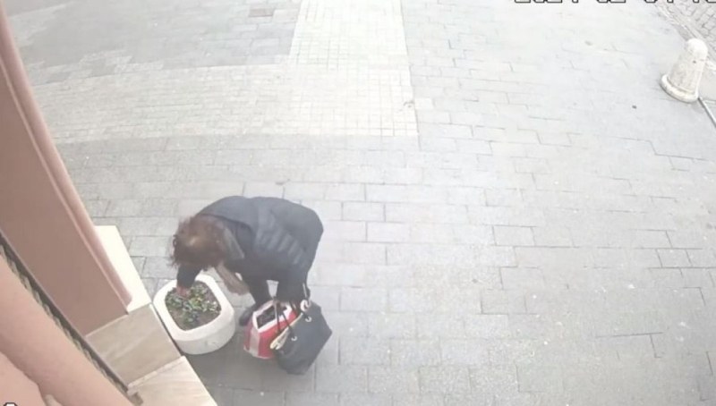 Пловдивчанка си взе чужди цветя, но камера я засне