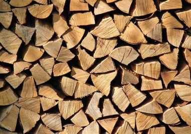 Започва записването за дърва за огрев в Перущица