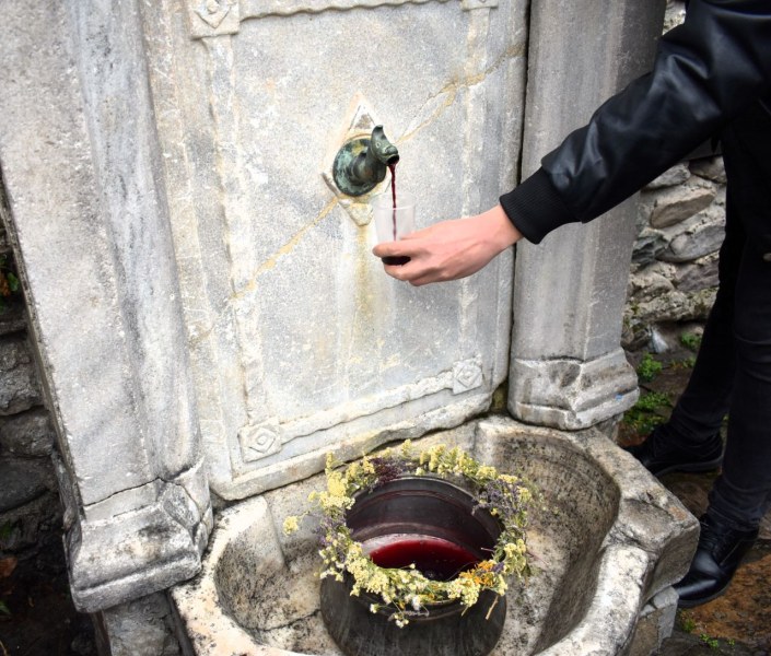 Със зарязване на лоза и курбан мина празникът в Асеновградско, вино потече от чешма