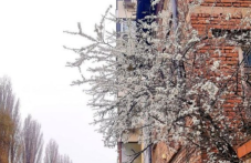 dravche-tsafna-plovdiv-dali-e-povod-306.png