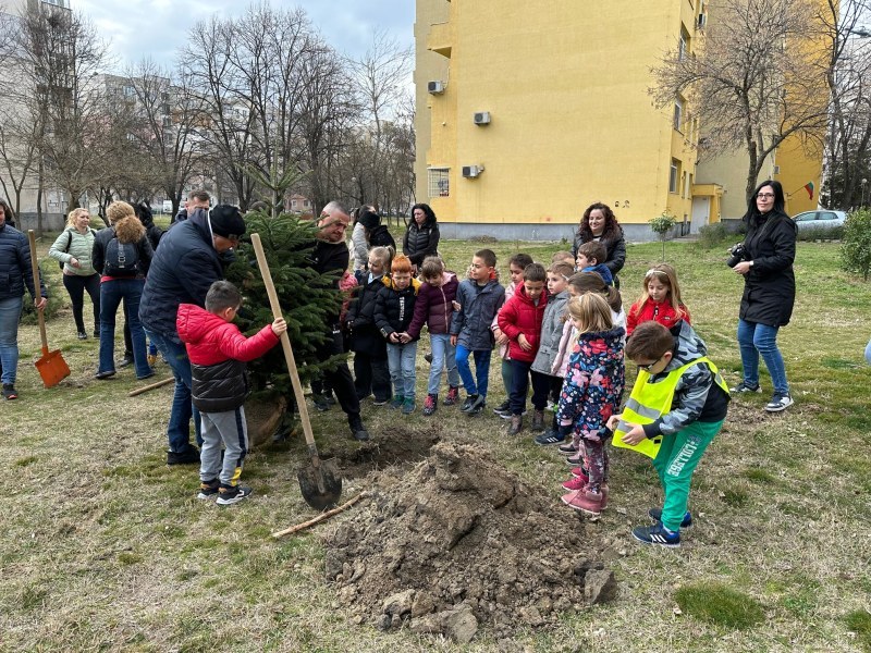 Засадиха 45 дръвчета в „Тракия“ по повод 45-годишнината на ДГ “Кремена“