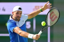 grigor-dimitrov-top-20-po-prihodi-467.jpg