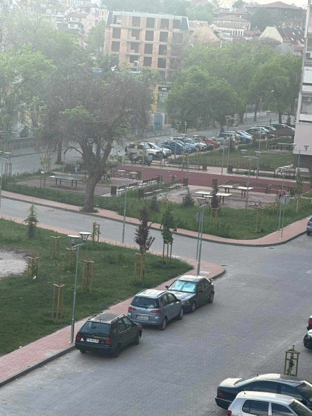 Кърлежи налазиха цял квартал в Пловдив